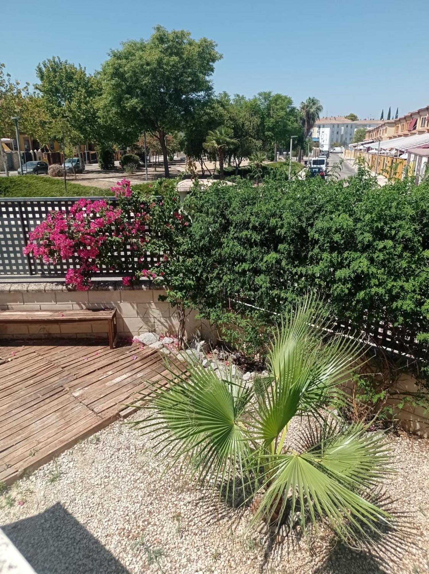 Turisticos Cinco Joyas Apartment Linares (Jaen)